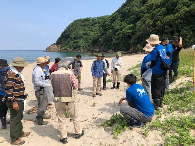 第11回オカヒジキ戻ってこいこいプロジェクトin熊井浜開催レポート