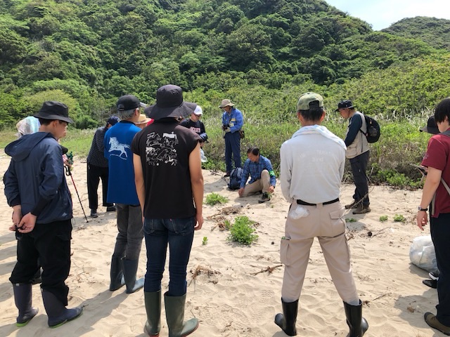 第11回オカヒジキ戻ってこいこいプロジェクトin熊井浜開催レポート