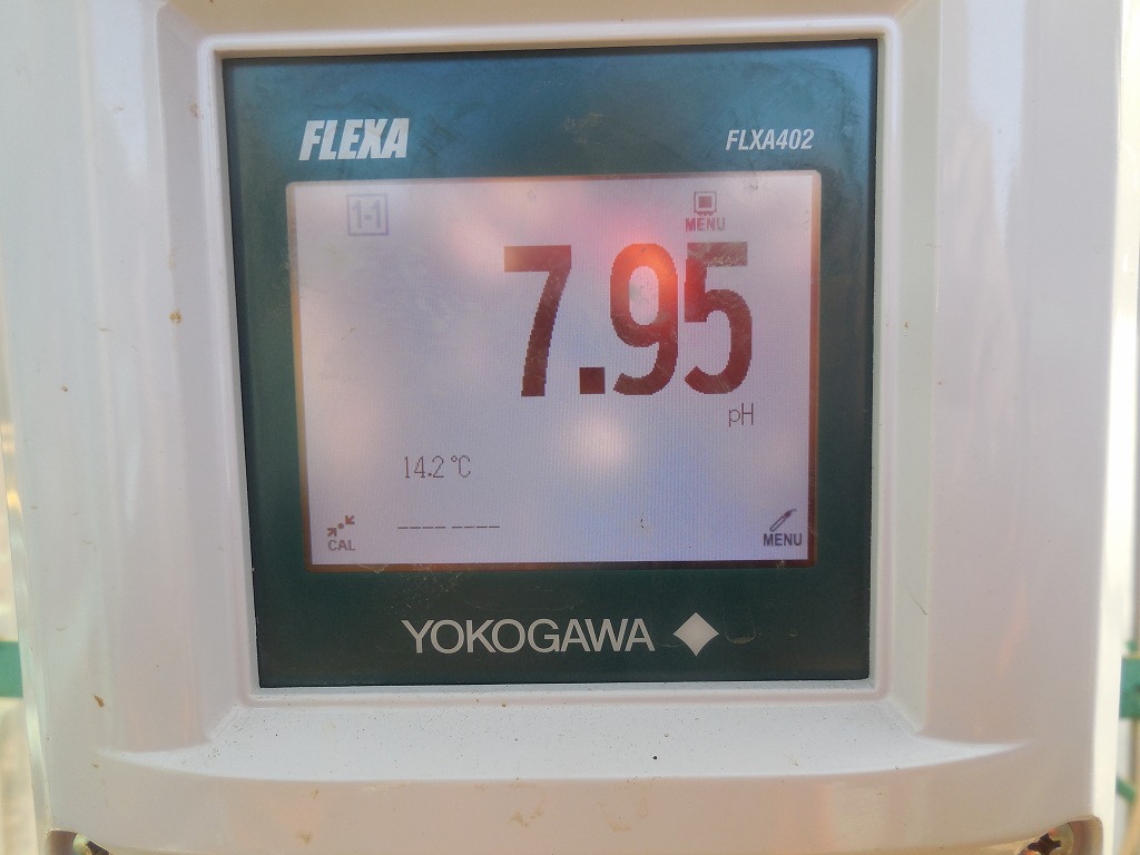 最初はpHは8.0です。