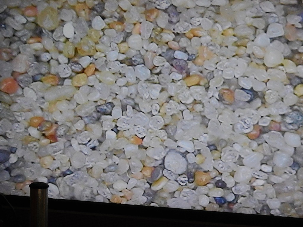 ゴビ砂漠の砂の拡大写真
