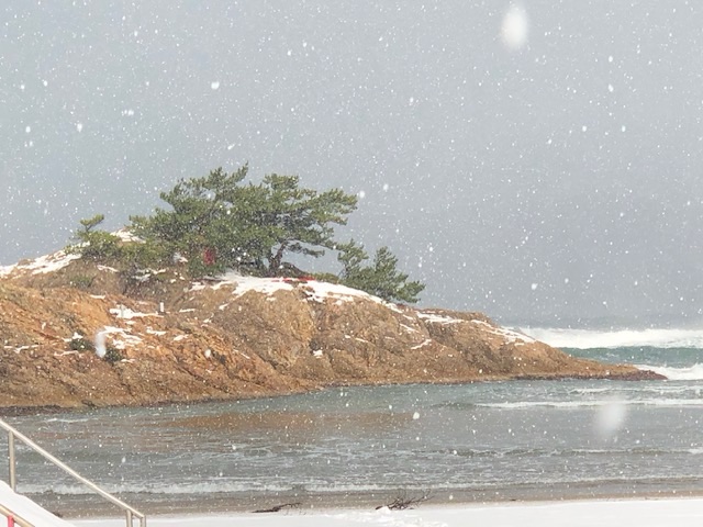 海に浮かぶ向島の鳥居