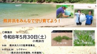 オカヒジキ戻ってこいこいプロジェクト2026